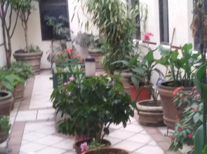 Hotel Ambar