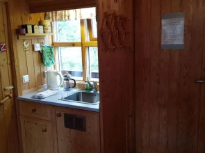 Cozy Cabin in the Woods