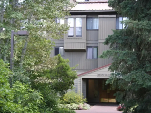 Cottonwood 1405 - Studio Condo