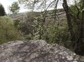 Greenyard Guesthouse