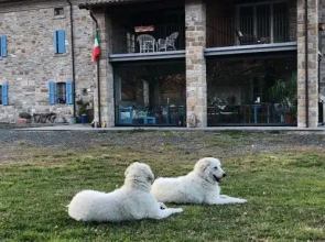 La Locanda nel vento