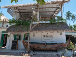 The Bodhi Tree Karimunjawa
