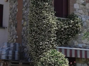 Residence Tenuta Gambalonga