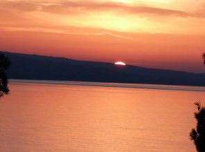 Apartments Nedo Dalmatia