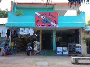 Agave Azul - Grand Cozumel, Hotel and Diving