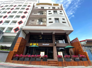 Owl Hostel