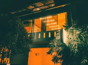 Pine Beach House