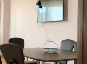 Hotel Data