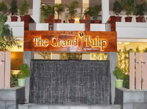 The Grand Tulip