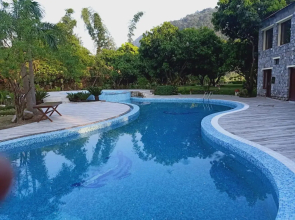 Dewdrop Mango Bloom Resort