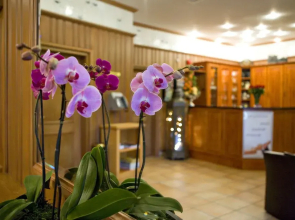 Hotel Neuwarft Dagebüll