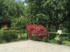 Apartments Sanok