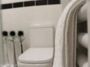 The Berwyn - Berwyn House - Central Wrexham - Sleeps Up to 7