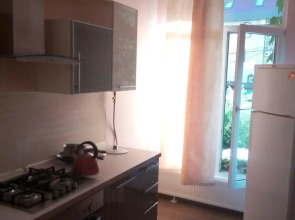 На Просвещения 88