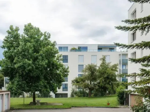 Oasi 1