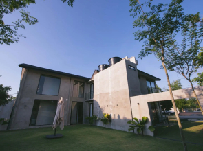 The Colony