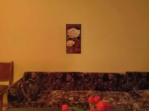 Cozy Little Flat in Karlovo