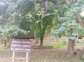 Dvorska oaza