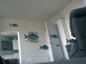 Verity and Ilfracombe Harbour View