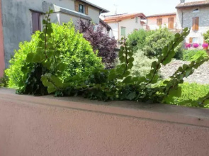 Appartamento a Portese Lago di Garda