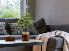 Guesthouse in the Heart of the Flemish Ardennes
