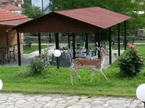Iniohos Guesthouse