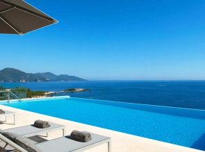 White Orchid Brassia