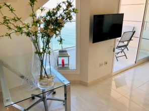Mesana 102 / Penthouse