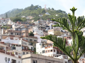 Casa Frida Hotel y Spa by Rotamundos