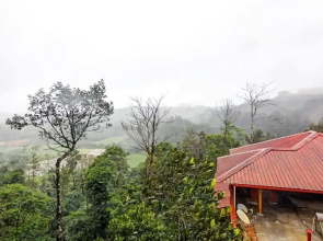 Itsy By Treebo - Iha Comforts