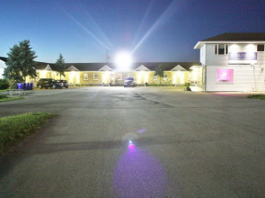 Tulip Motel