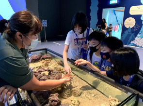 Resorts World Sentosa - Equarius Hotel