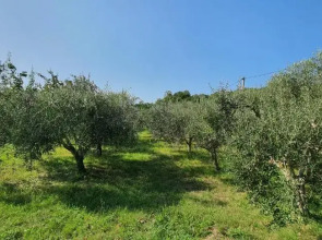 New Apartments Škofije Ankaran