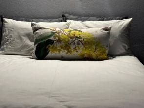 Acoustic Guest House