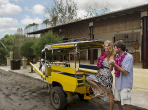 Jambuluwuk Oceano Resort Gili Trawangan