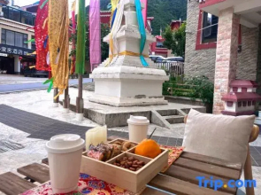 Mountain Summer Coffee Guesthouse