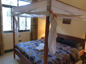 BlueMonkey Guesthouse