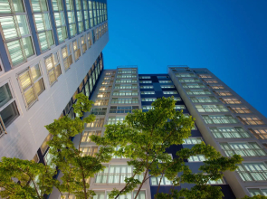 Jumunjin the Bluehill Resort