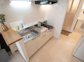 Tsubaki Garden / Vacation STAY 4010