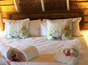 Serenity Mountain and Forest Lodge