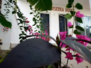 Biserka House