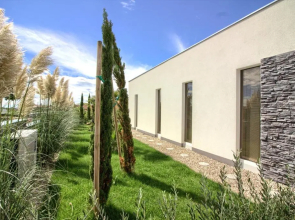 Charming villa Darte with private heated pool near Rovinj