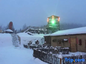 Linzi Cottage