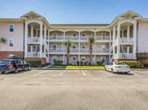 Golf Getaway by Casino, Dolphin Cruises + Beach!