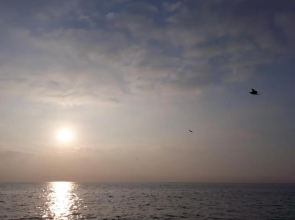 Limanaki S.View Apartment