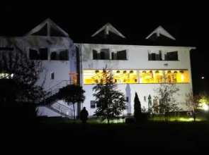 Vila Vlad