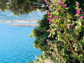 Apartments Adria Garden