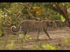 Elandela Private Game Reserve & Luxury Lodge