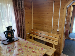 София Шерегеш