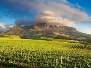 Modern, Central and Secure Studio Apartment Cape Town